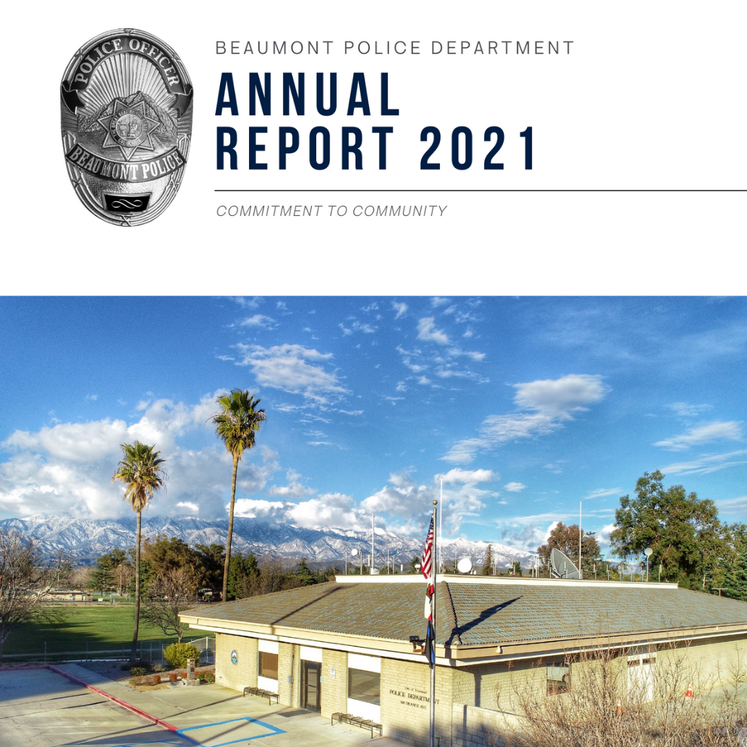 annual report